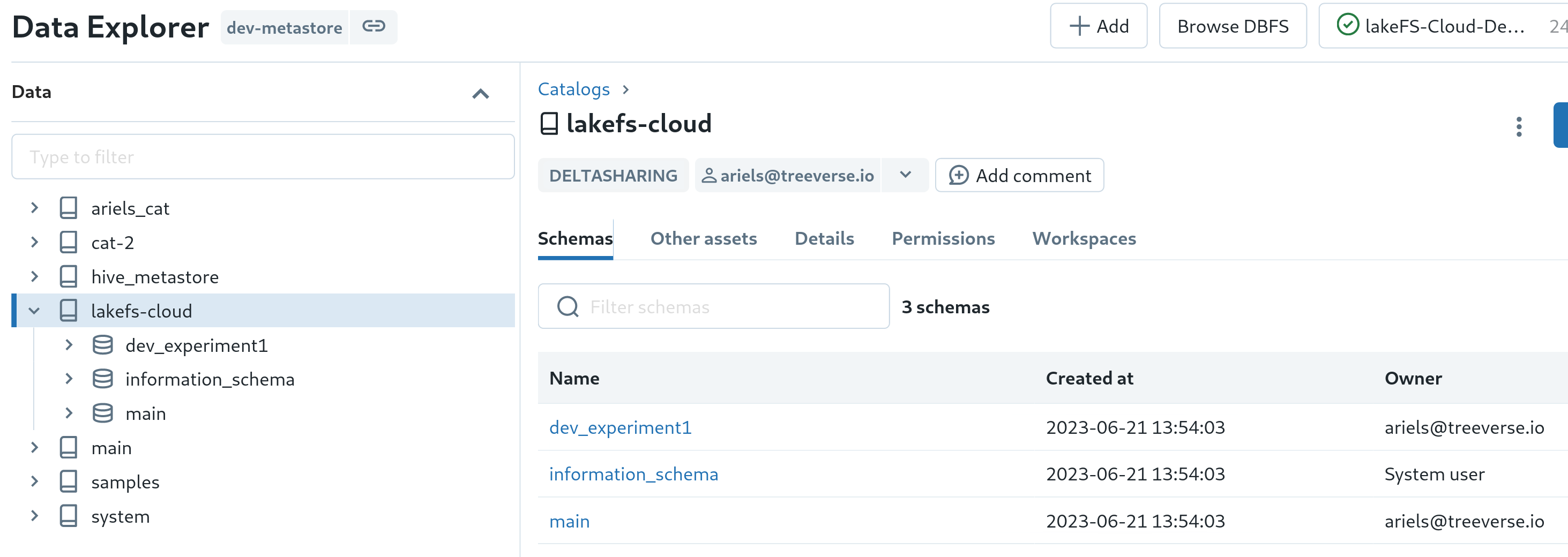 lakeFS-Cloud provider, every configured branch is a schema